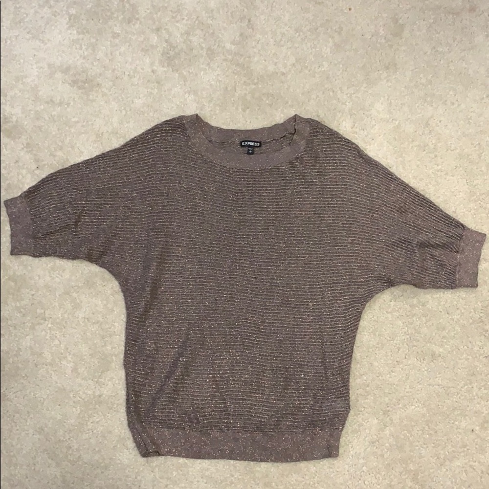 Express Sparkle Tunic Sweater